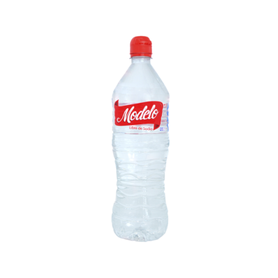 AGUA 1 LT PAQ. 12 PZAS.